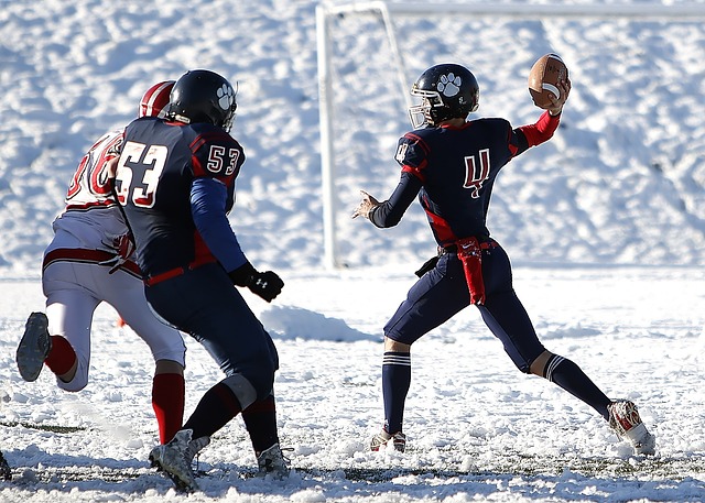 德甲第16輪斯圖加特0-5拜仁慕尼黑 格納布裏帽子戲法萊萬梅開二度.