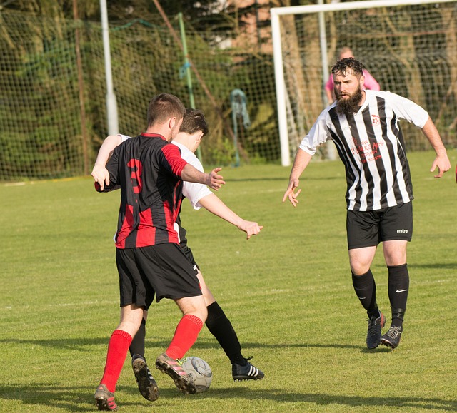 经验对比赛 经验对比赛